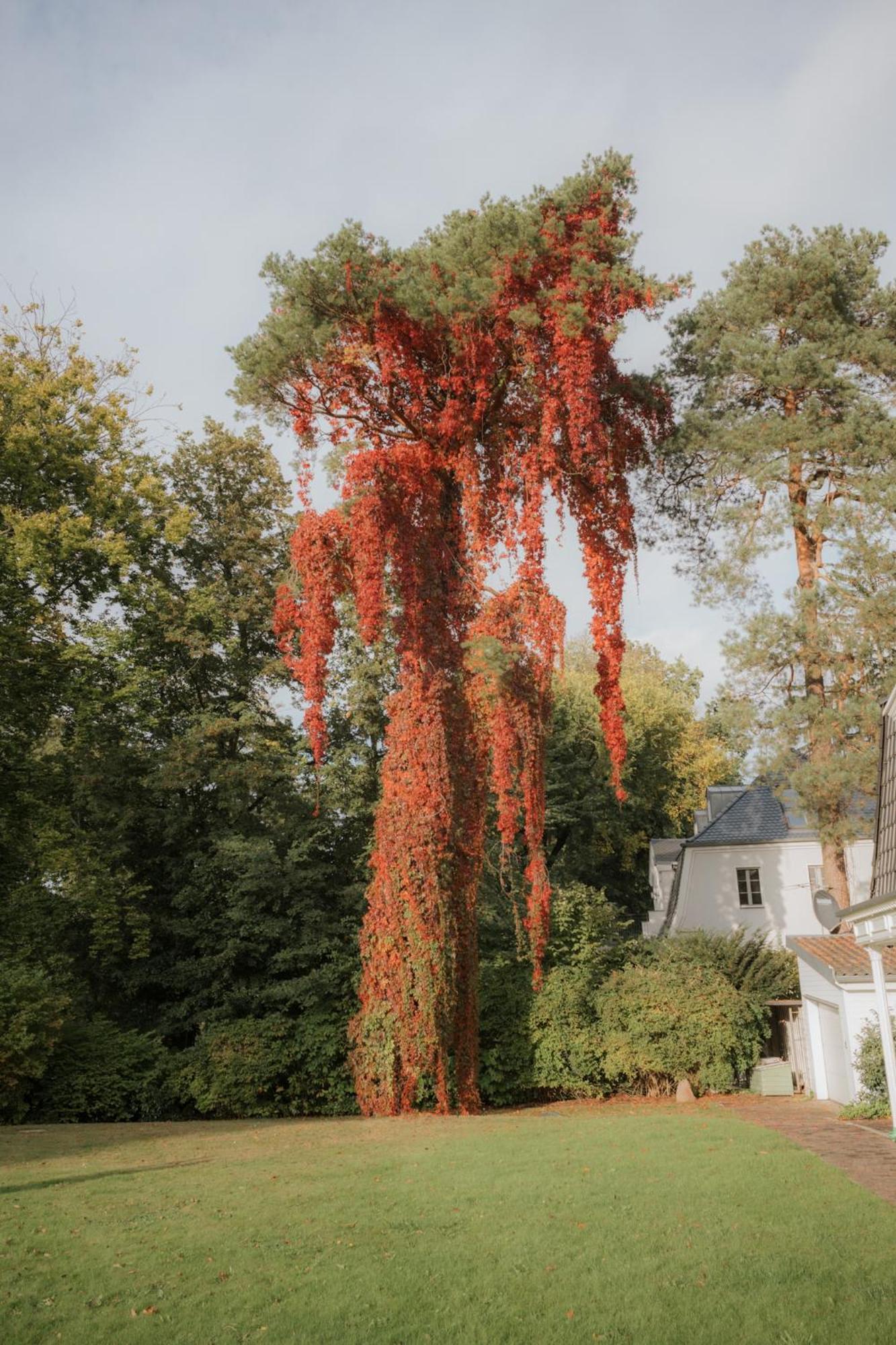 Nook X Seepalais Boutique Hotel Bad Saarow Bagian luar foto